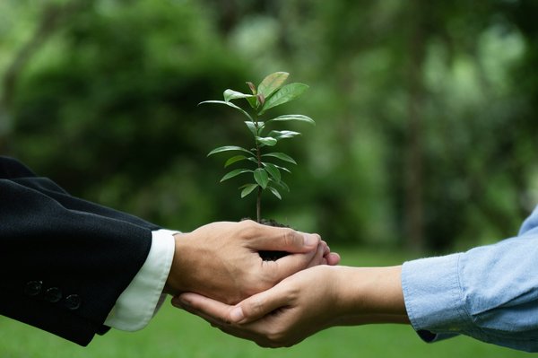 Iso 26000 : adoptez des pratiques sociétales responsables